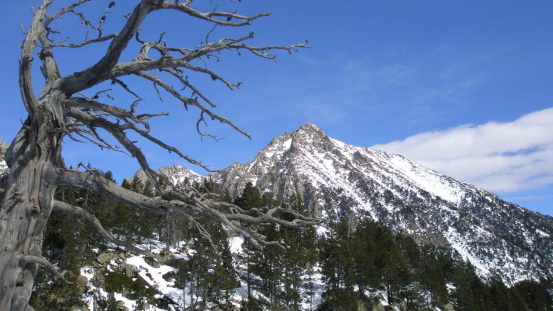 Una  visita a Aigüestortes