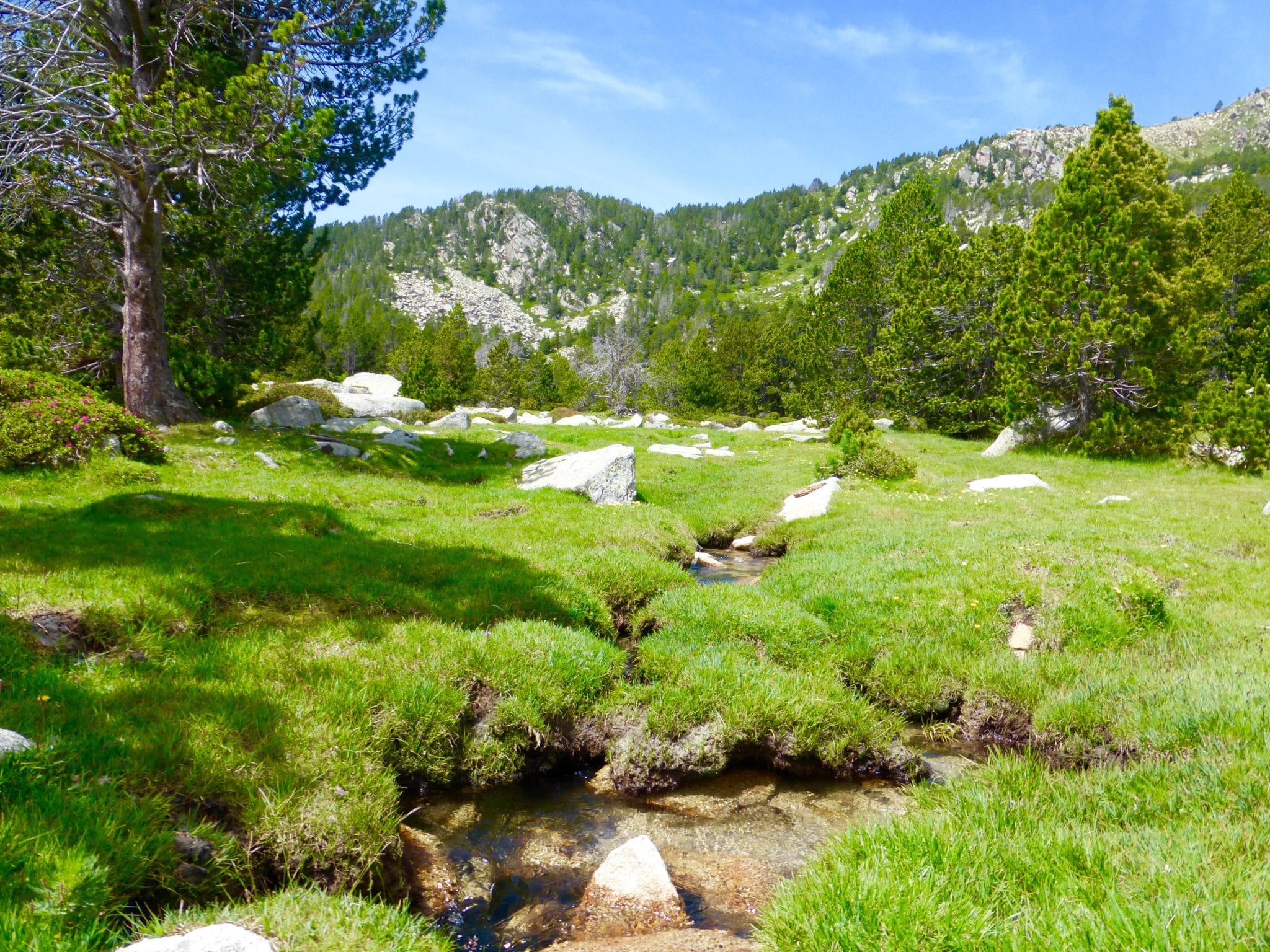 Estanyol de Tarterès  i  Estany de Malniu