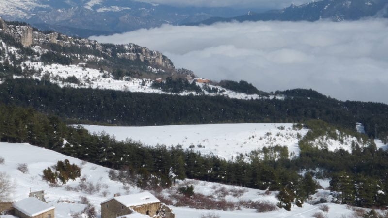 A la Serra d’Ensija…