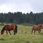 P1080667