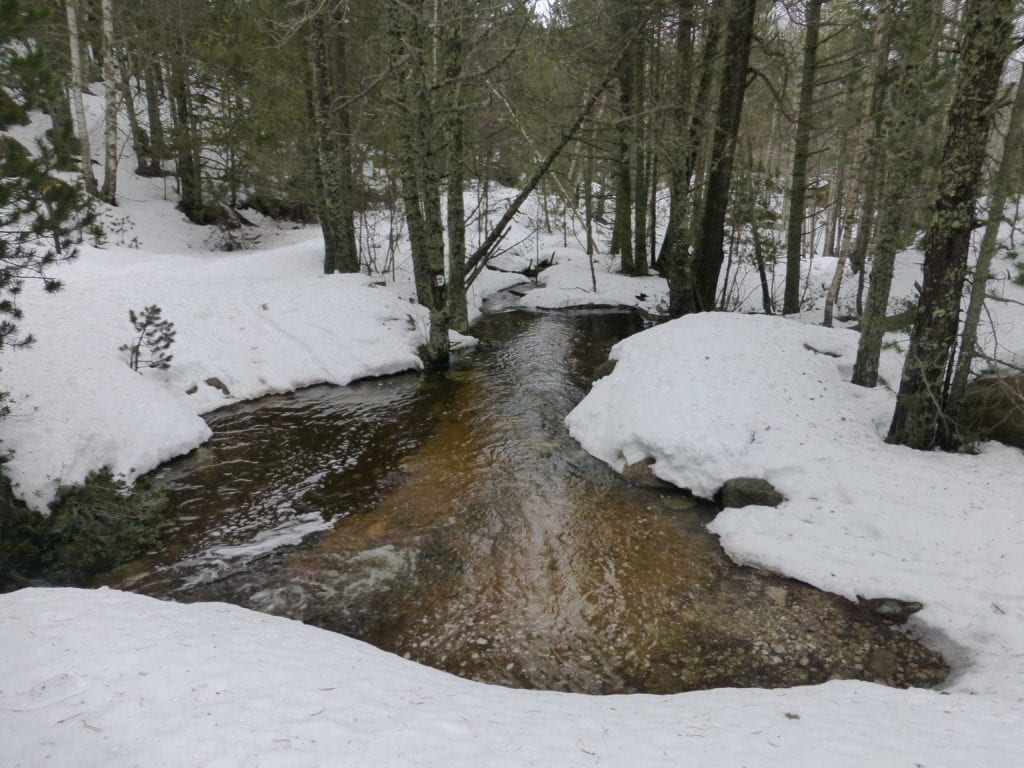 P1100031
