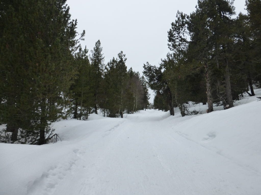 P1100036