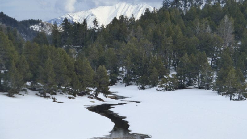 Camí cap a les Bulloses