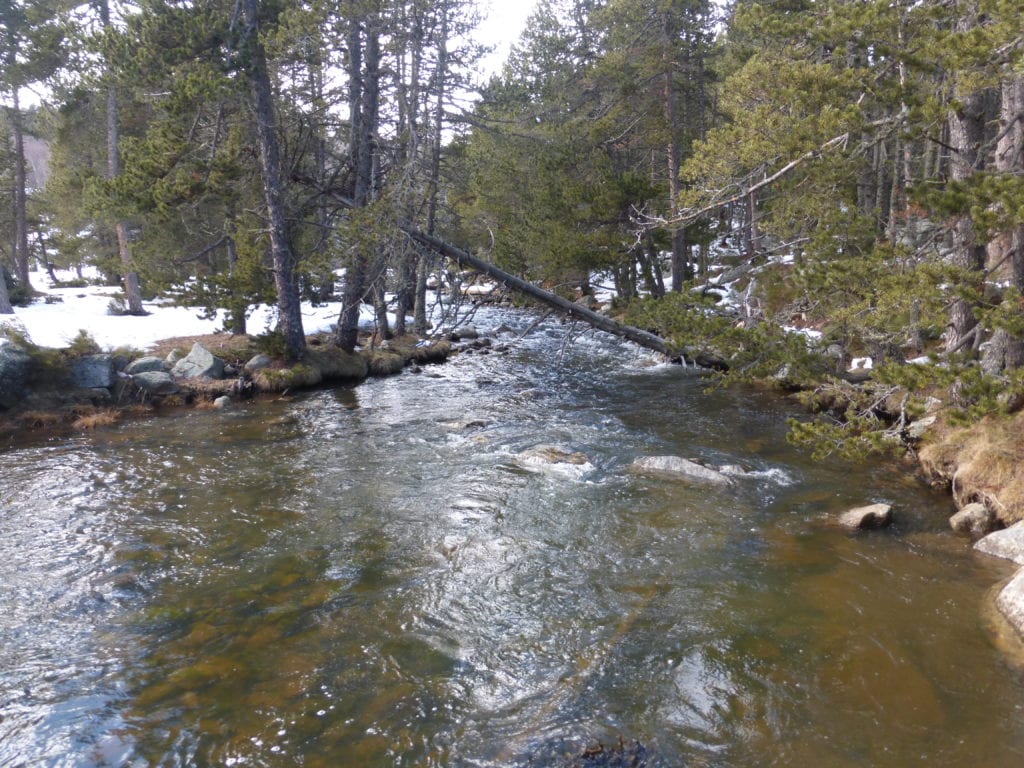 P1100215
