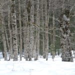 P1100250