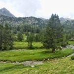 P1110153