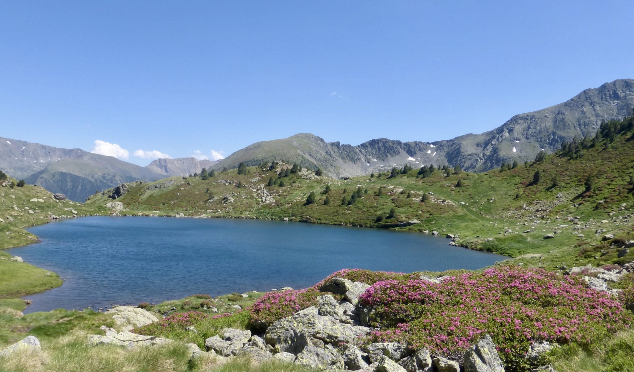 Circ de Tristaina