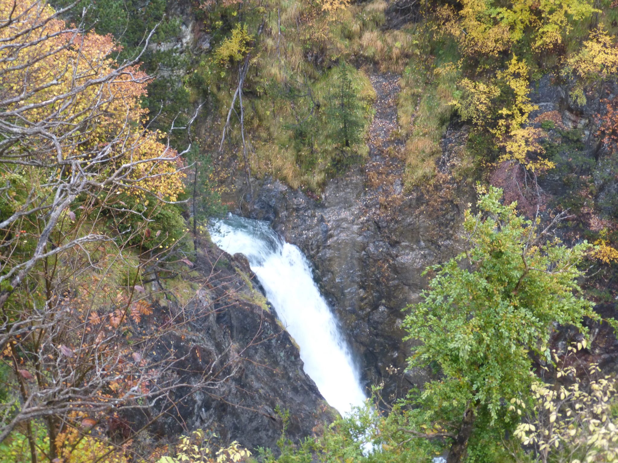P1150489
