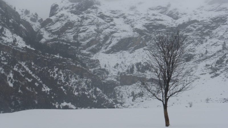 Dia d’hivern a Pineta