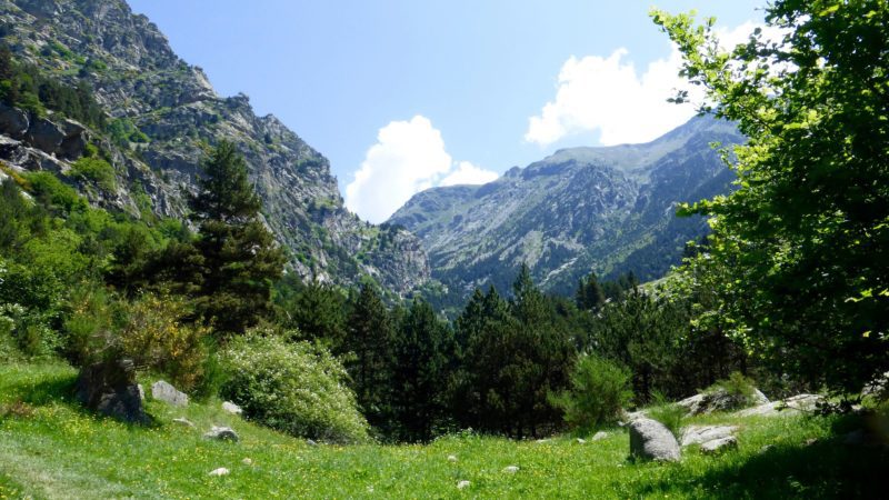 Caminant per les gorgues del Freser