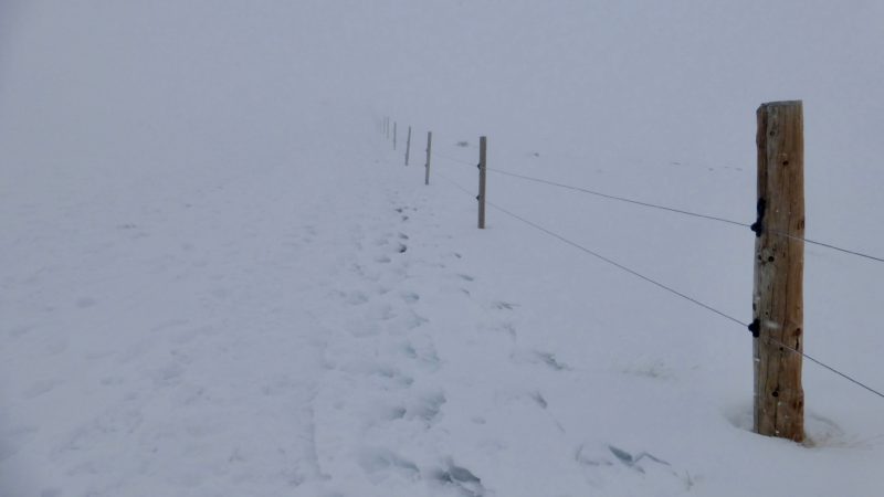 Tast de neu al coll de les Barraques