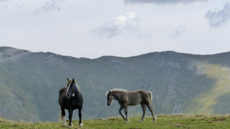 Puig de la Fontlletera i Balandrau