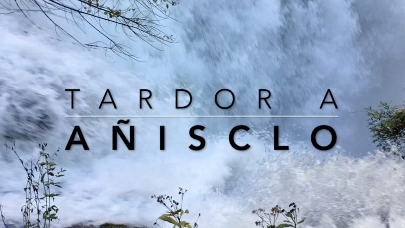 Gaudim de la tardor