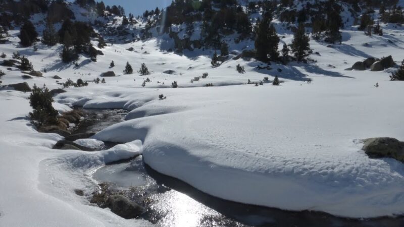 Circular al Circ de Pessons
